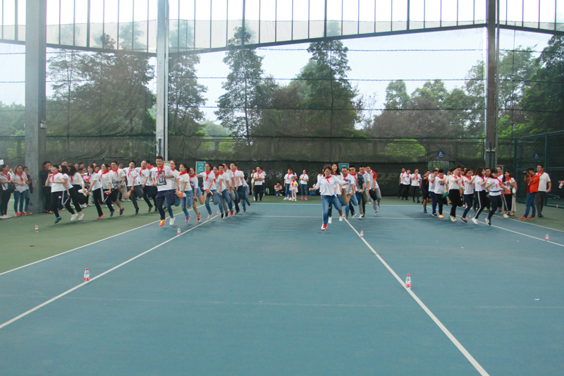 无轨电车 无轨电车