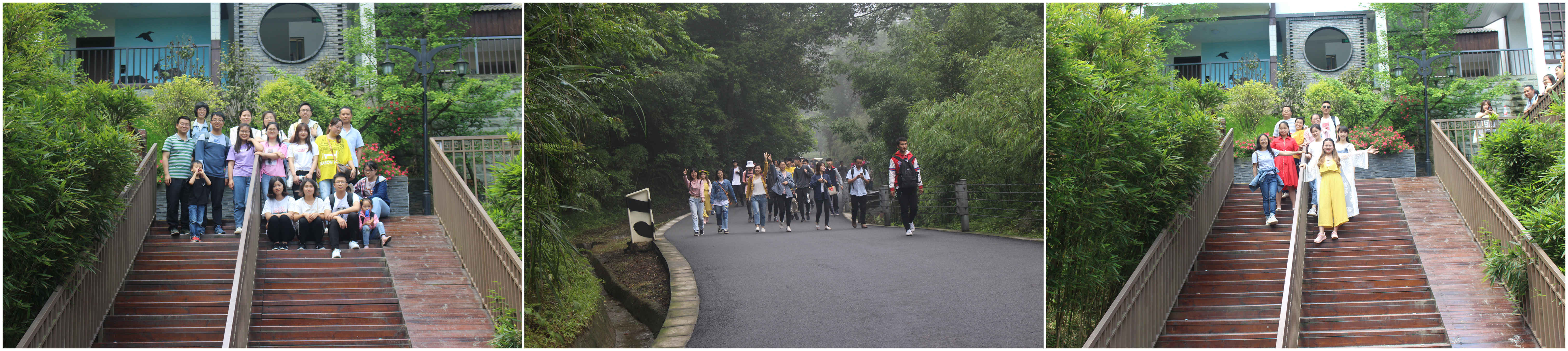 微信图片_20190530160338_副本 微信图片_20190530160338_副本