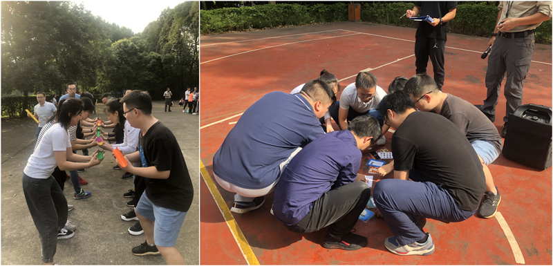 拓展活动 拓展活动