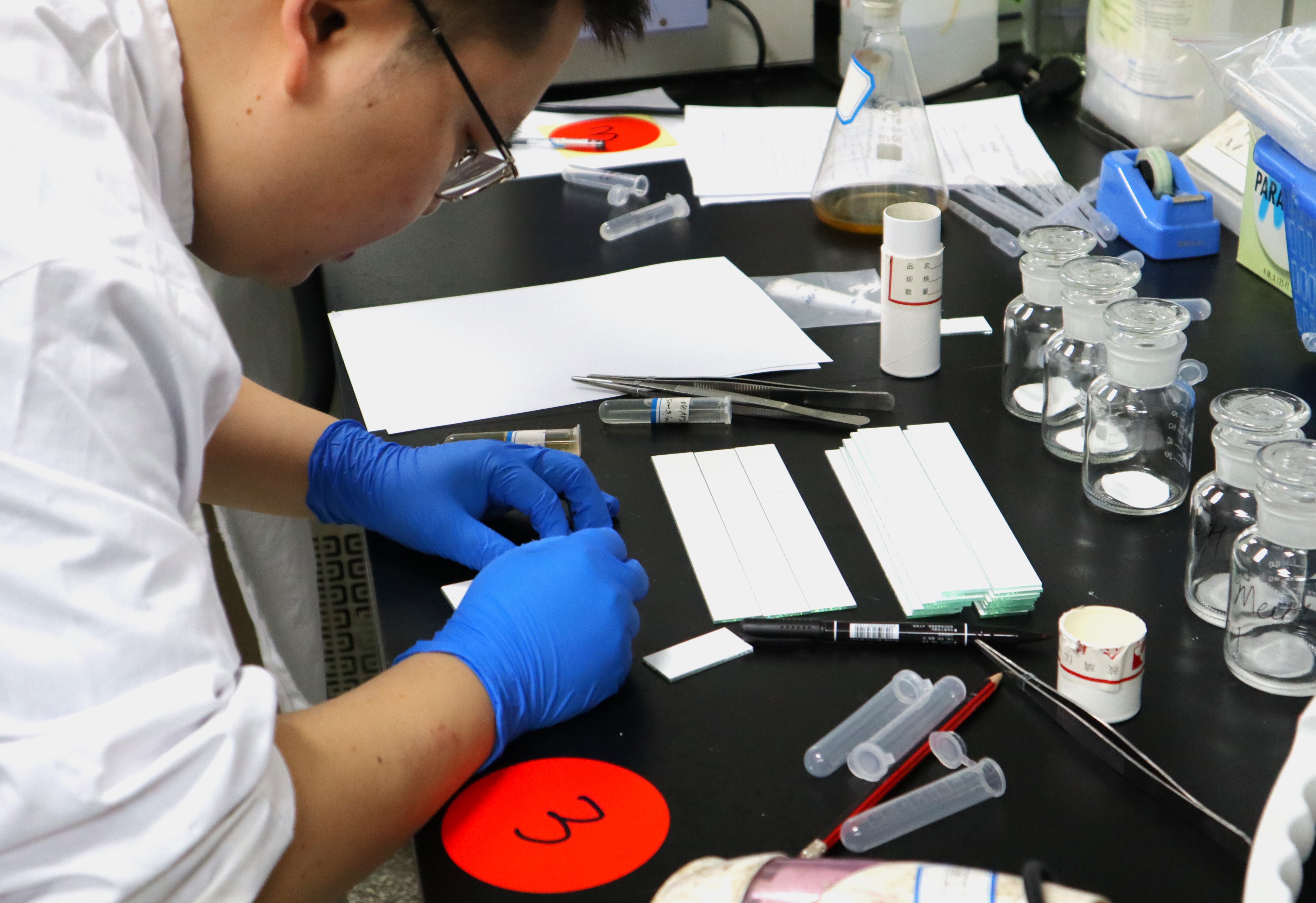 IMG_2083(1) IMG_2083(1)