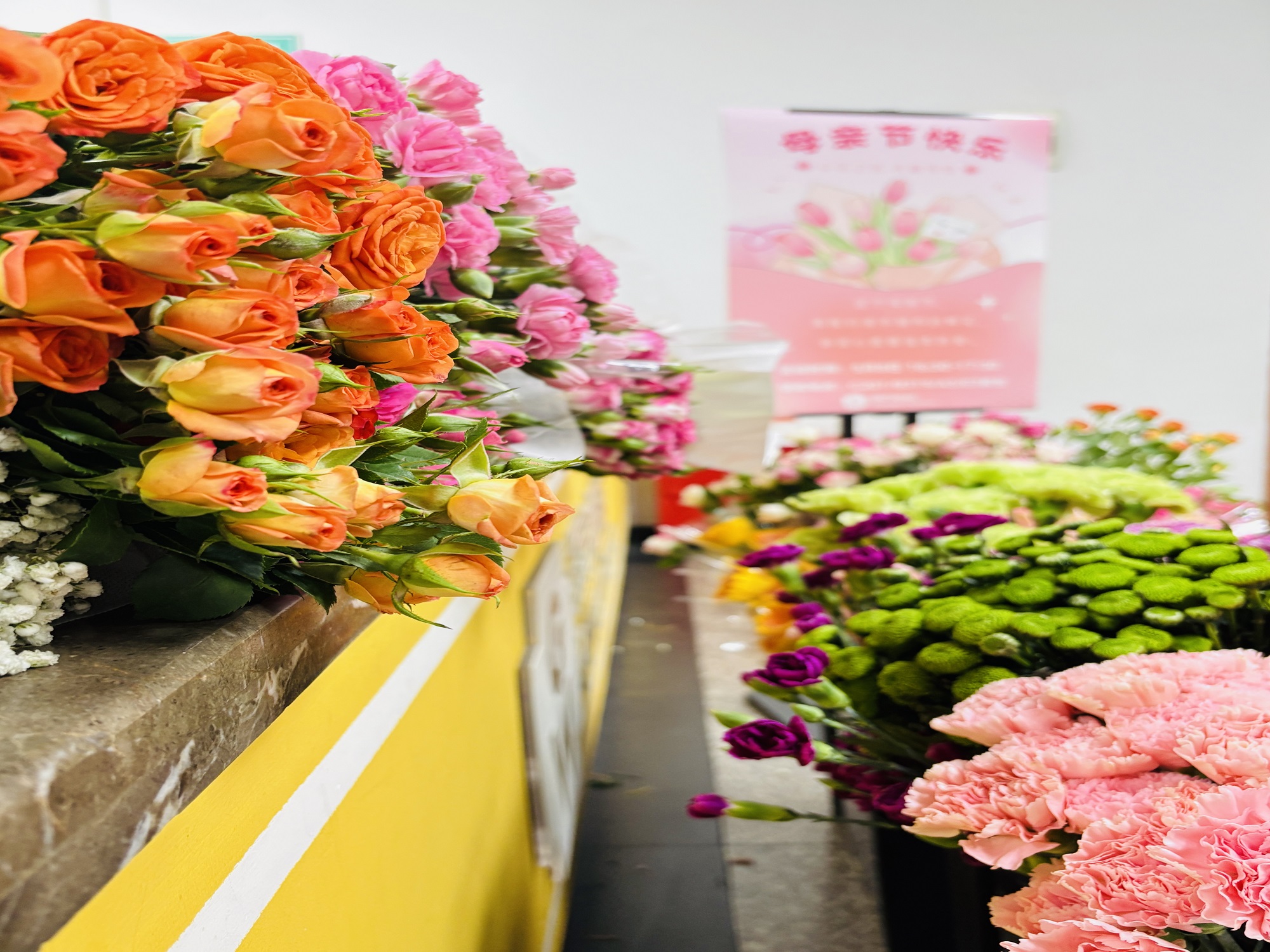 86cb6478-5444-4bec-9316-4f6d802f4005 86cb6478-5444-4bec-9316-4f6d802f4005