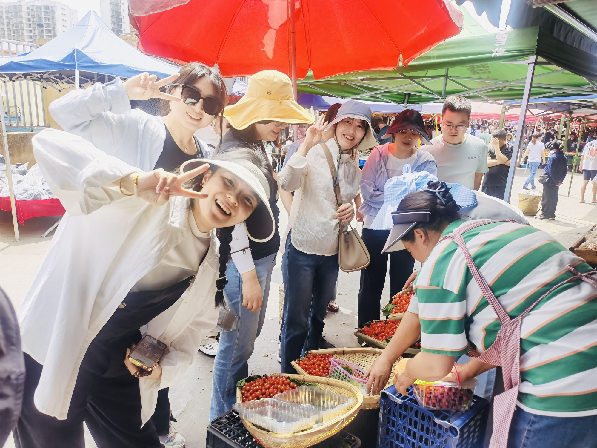 西昌-研究院-苏总部门-2 西昌-研究院-苏总部门-2